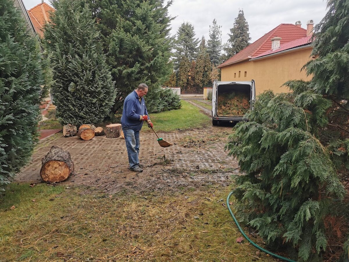 Fakivágás és helyszín takarítás