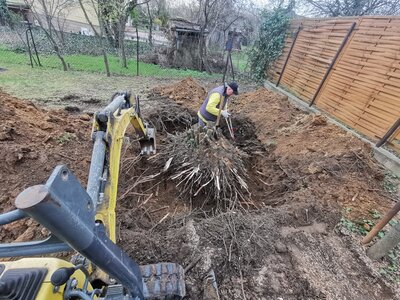 Tuskó kiszedés - 107