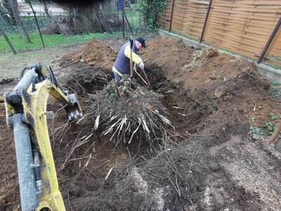 Tuskó kiszedés - 108