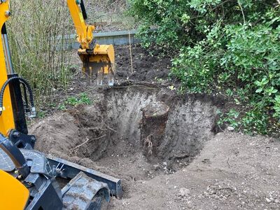 Tuskó kiszedés - 19